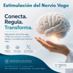 Estimulación del Nervio Vago (VNS) + TMS: Cómo Actúan Sobre la Amígdala, Locus Coeruleus y las Redes del Cerebro