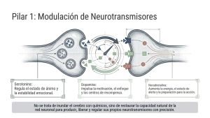 TMS y neuroplasticidad: cómo funciona la Estimulación Magnética Transcraneal