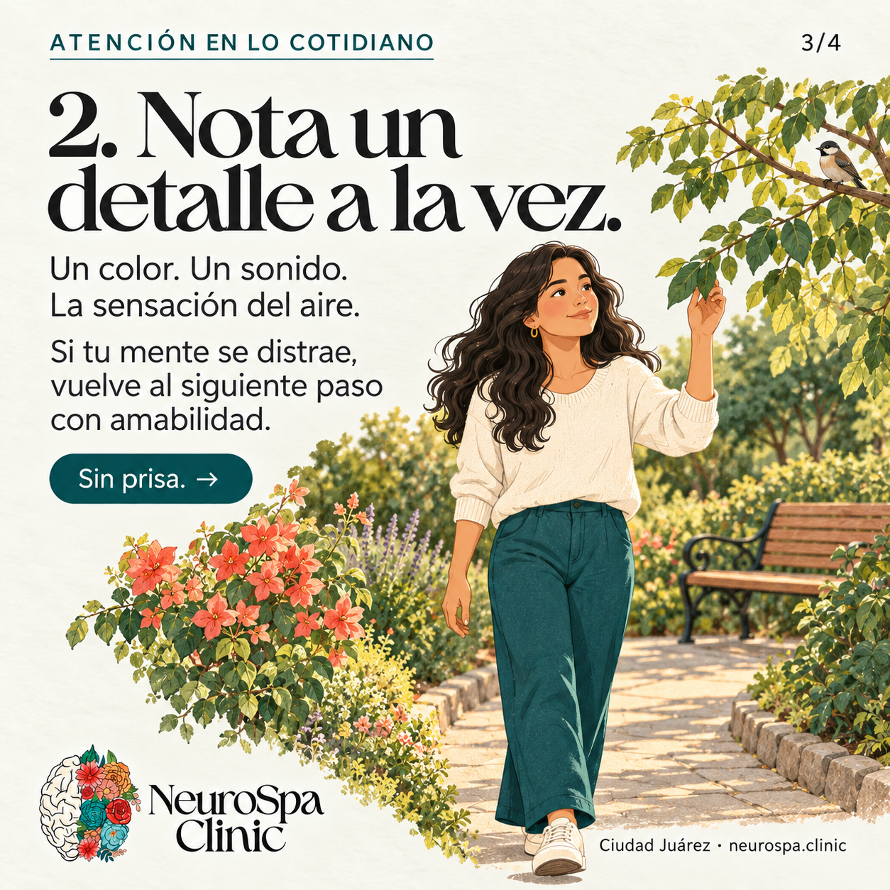 Nota un color, un sonido o la sensación del aire; vuelve al siguiente paso si te distraes.